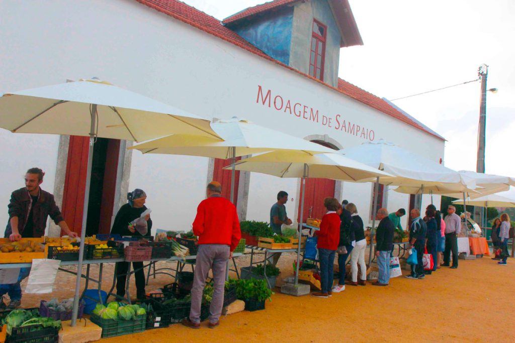 Moagem Sampaio 3 1024x683